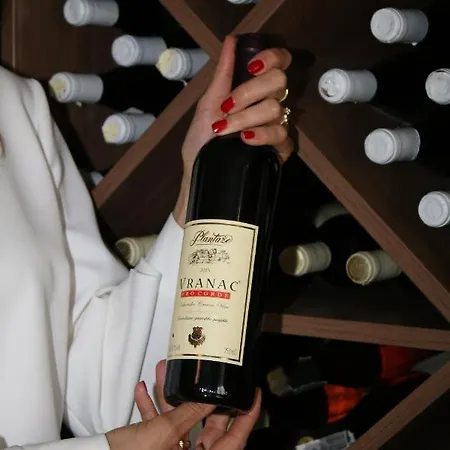 ホテル Biser Panonija 3*