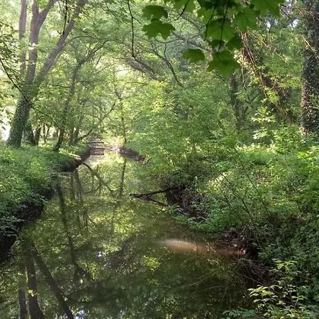 Biser Panonija 3* Duboka