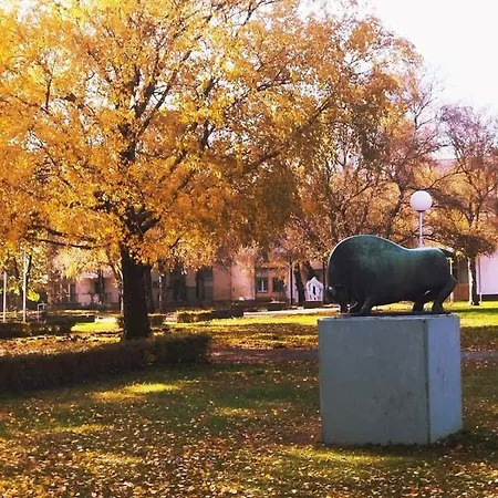 ホテル Biser Panonija 3*